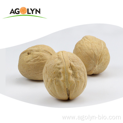 AGOLYN Top Grade Thin-skin Raw Walnuts with shell